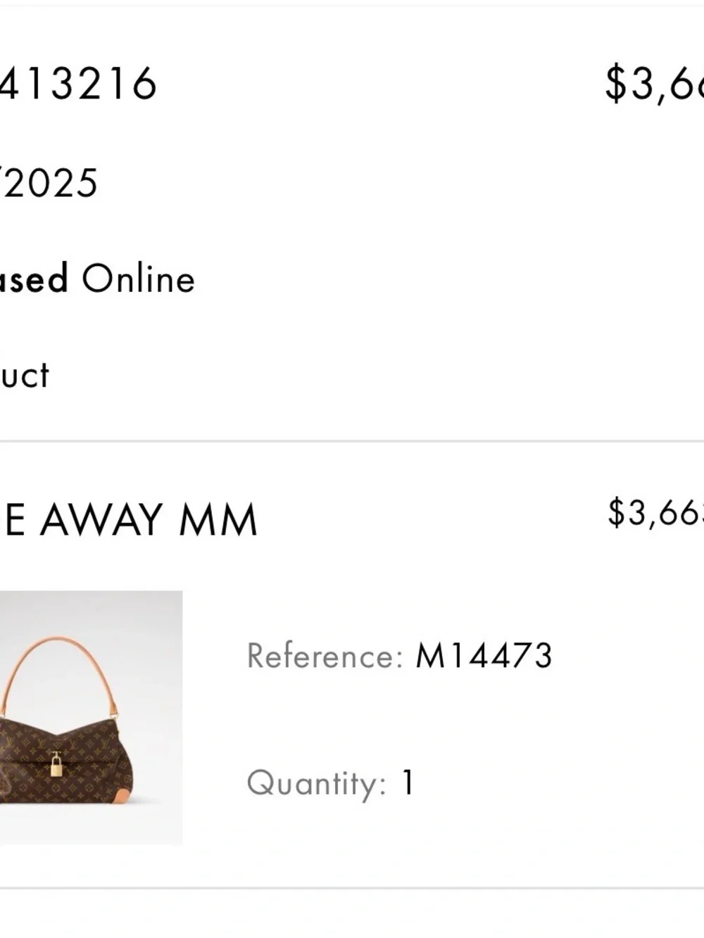 Louis Vuitton classic louis